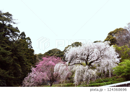 長興山　紹太寺 124368696