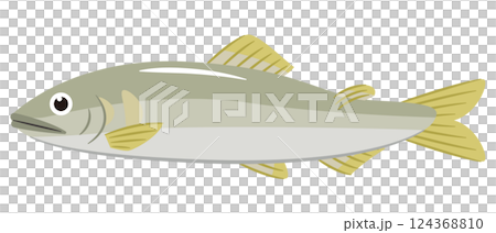 Ayu Illustration 124368810