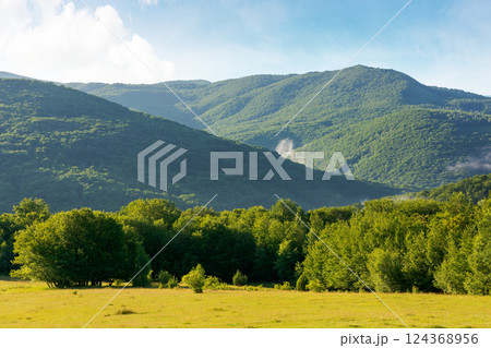 grassy meadow among beech forest on the hill. lush woodland. mountainous landscape of ukraine in summer. scenic view of carpathian countryside scenery on a sunny morning grassy meadow among beech forest on the hill. lush woodland. mountainous landscape of ukraine in summer. scenic view of carpathian countryside scenery on a sunny morning 124368956
