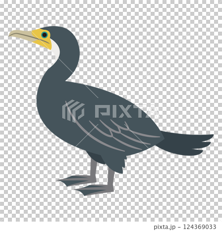 Illustration of a cormorant 124369033