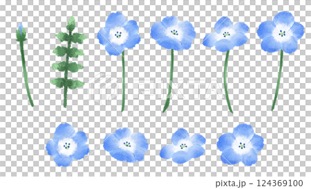 水彩画風ネモフィラの分解イラスト 水彩画風ネモフィラの分解イラスト 124369100