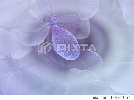 幻想的な空間に浮かぶ紫陽花の多重露光撮影 124369154