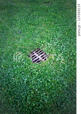 Evacuation grate in the grass of the park 124369214