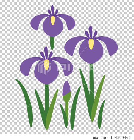 虹膜圖 虹膜圖 124369466