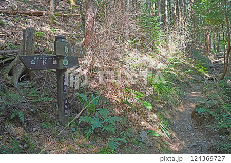 越生町 黒山三滝ハイキングコース 越生町 黒山三滝ハイキングコース 124369727