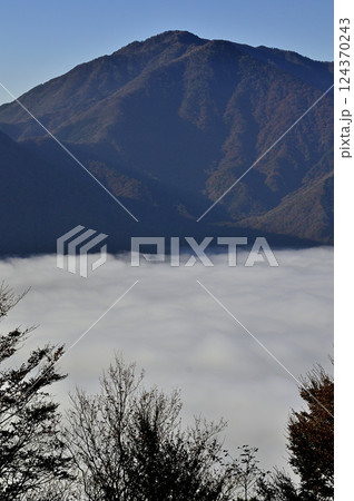 御坂山地　紅葉のパノラマ台から望む天子山地と雲海広がる本栖湖 124370243