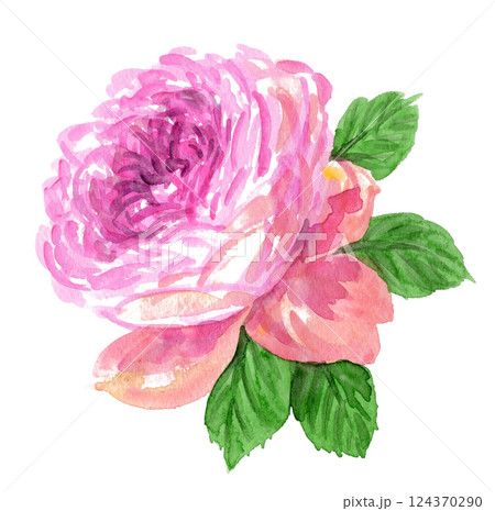水彩で描いたピンクの薔薇25326pix7 124370290