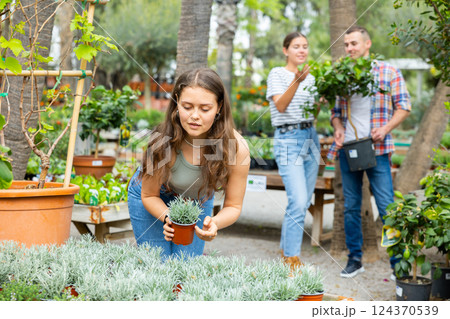 Girl choosing potted Helichrysum tianschanicum plant in garden store Girl choosing potted Helichrysum tianschanicum plant in garden store 124370539