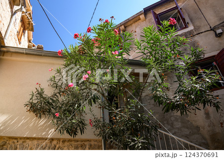 Jelsa old town on the Adriatic island of Hvar in the county of Split-Dalmatia in Croatia 124370691