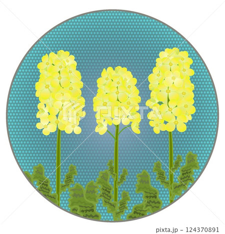 円形背景のついた菜の花のイラスト 124370891