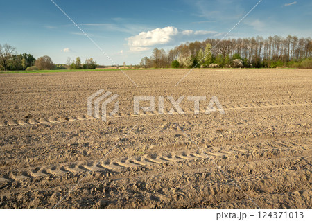 View of a dry and ploughed rural field, spring day 124371013