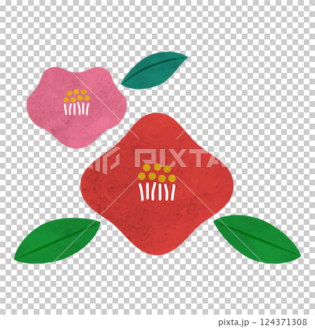 水彩の椿のイラスト 水彩の椿のイラスト 124371308