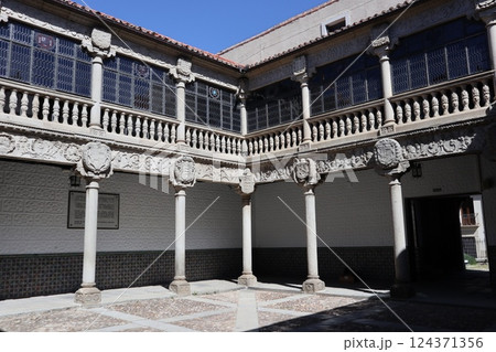 スペイン・アビラのポレンティノス宮殿 124371356
