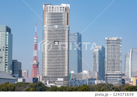 東京タワーと高層ビル 東京タワーと高層ビル 124371639
