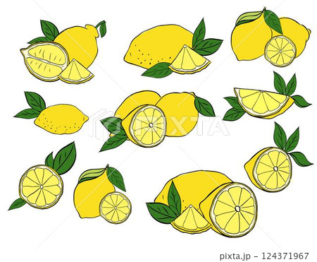 Lemon with leaves composition set. Vector graphic line ink illustration in transparent background. art for food design, recipe, cook book, packages, menu, food ads and decor Lemon with leaves composition set. Vector graphic line ink illustration in transparent background. art for food design, recipe, cook book, packages, menu, food ads and decor 124371967