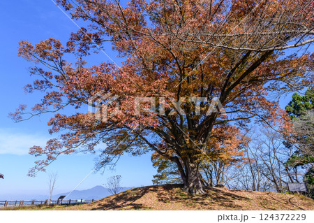 将棋の町 天童を展望 124372229