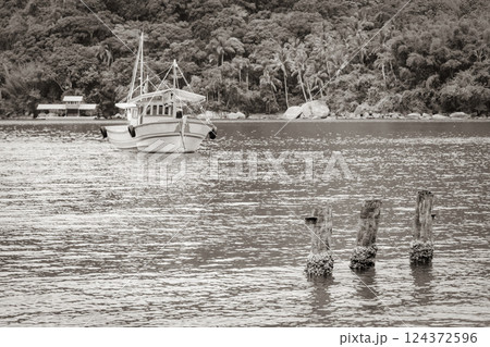 Boats ships Boat Mangrove and Pouso beach Ilha Grande Brazil. 124372596