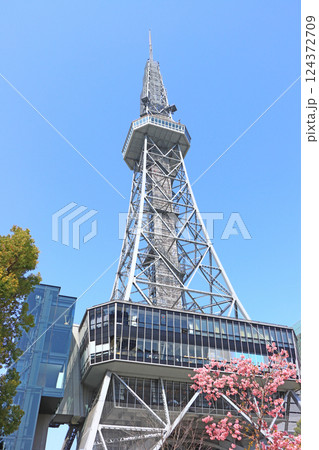 愛知県名古屋市、河津桜と名古屋テレビ塔の風景 124372709