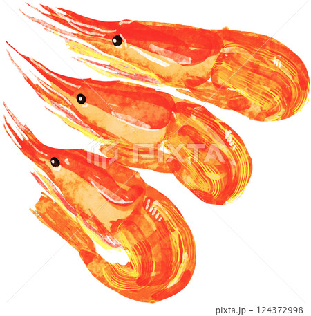 北海シマエビのイラスト 北海道 特産 124372998