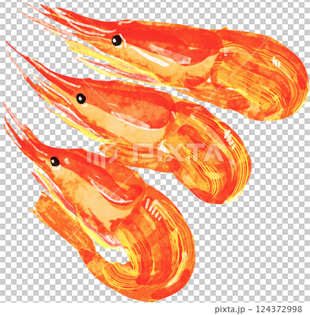 北海シマエビのイラスト 北海道 特産 124372998