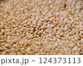 コクゾウムシと傷んだ米 124373113