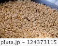 コクゾウムシと傷んだ米 124373115