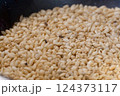 コクゾウムシと傷んだ米 124373117