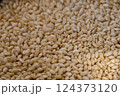 コクゾウムシと傷んだ米 124373120