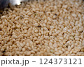 コクゾウムシと傷んだ米 124373121