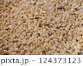 コクゾウムシと傷んだ米 124373123