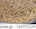 コクゾウムシと傷んだ米 124373124