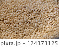 コクゾウムシと傷んだ米 124373125