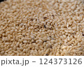 コクゾウムシと傷んだ米 124373126