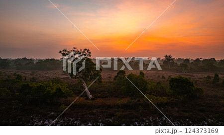 Aerial view of Scenic Sunrise Over Misty Savanna Landscape 124373169