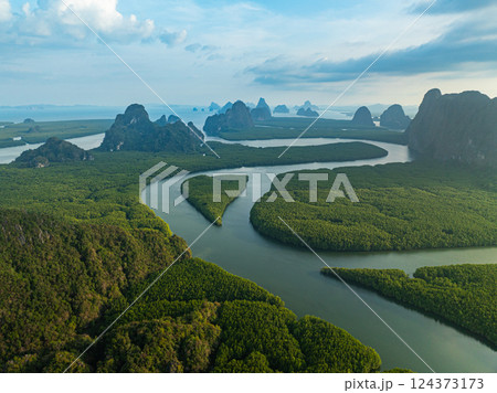 Aerial View of canals winding in the mangroves create a heart-shaped island. 124373173