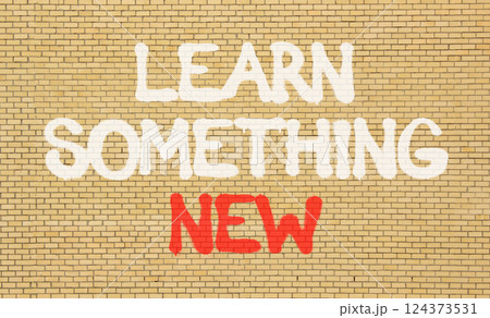 Learn something new symbol. Concept words Learn something new on beautiful brick wall . Beautiful brick wall background. Business motivational lifestyle learn something new concept. Copy space. Learn something new symbol. Concept words Learn something new on beautiful brick wall . Beautiful brick wall background. Business motivational lifestyle learn something new concept. Copy space. 124373531