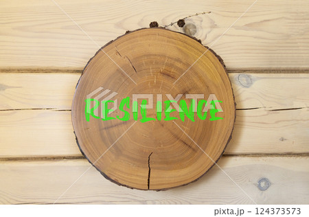 Resilience symbol. Concept word Resilience on beautiful wooden circle. Beautiful wooden wall background. Business resilience concept. Copy space. 124373573
