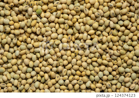 Organic raw soybeans close-up, vegan superfood, top view Organic raw soybeans close-up, vegan superfood, top view 124374123