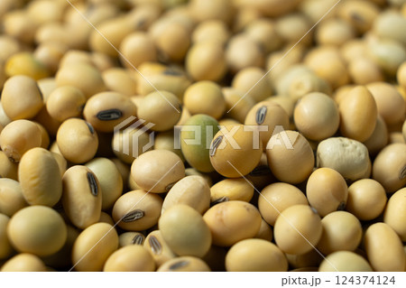 Uncooked Soybean Seeds. Healthy and Nutritious Legumes Uncooked Soybean Seeds. Healthy and Nutritious Legumes 124374124
