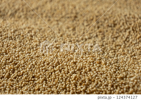 Uncooked Amaranth Seeds. Healthy Gluten-Free Grain Macro Uncooked Amaranth Seeds. Healthy Gluten-Free Grain Macro 124374127