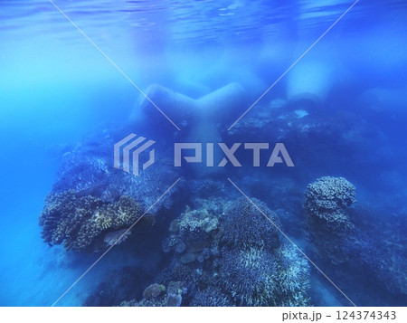 ゴリラチョップの珊瑚礁とテトラポット　沖縄県崎本部 124374343