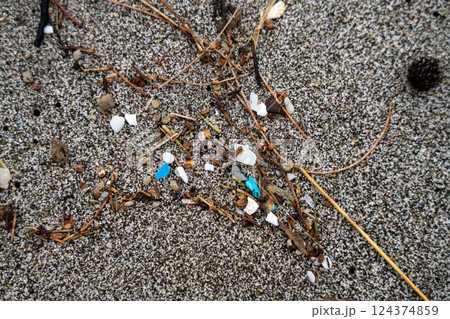 海岸に流れ着いたプラスチックゴミ 小笠原 東京都 海岸に流れ着いたプラスチックゴミ 小笠原 東京都 124374859