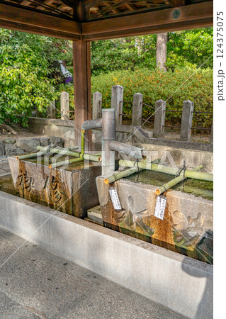 京都市伏見区　城南宮　伏見八名水　菊水若水（京の名水）手水舎　病平癒の御利益　延命水 124375075