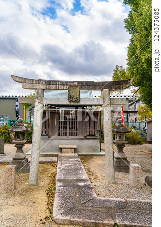 京都伏見区横大路天王後　田中神社　境内社　北向虫八幡宮（虫の神様）夜泣き、疳の虫封じの神様　鳥居 124375085