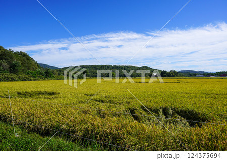 深川市多度志の水田 124375694