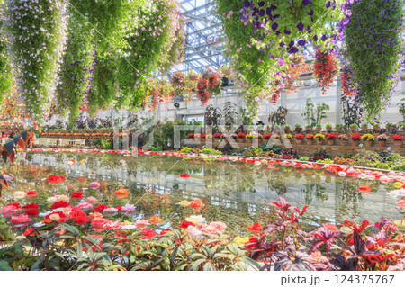 なばなの里　ベゴニアガーデン 124375767