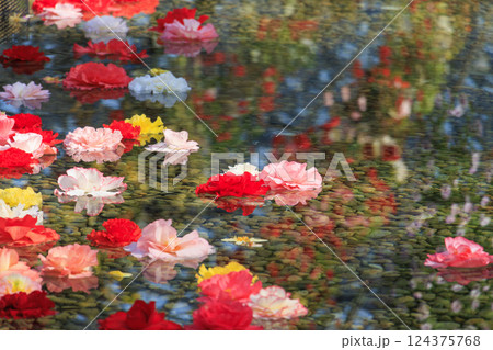 なばなの里　ベゴニアガーデン 124375768