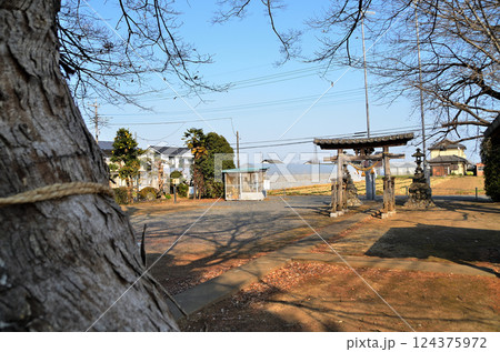 埼玉県深谷市岡の当後白鬚神社 124375972