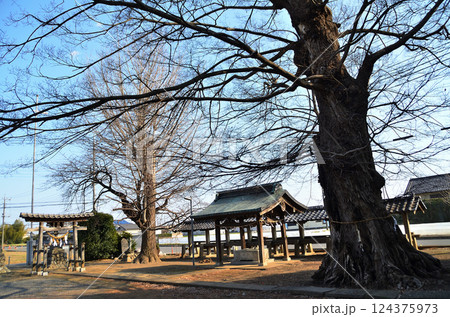 埼玉県深谷市岡の当後白鬚神社 埼玉県深谷市岡の当後白鬚神社 124375973