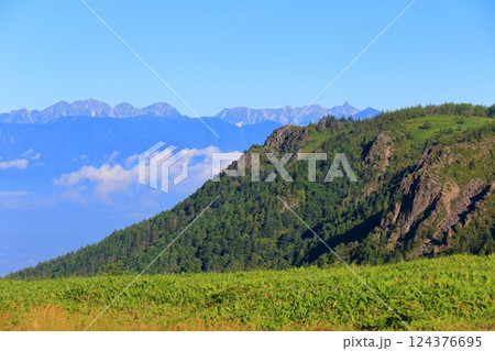 美ヶ原から見る王ヶ鼻と北アルプスの山並み 124376695
